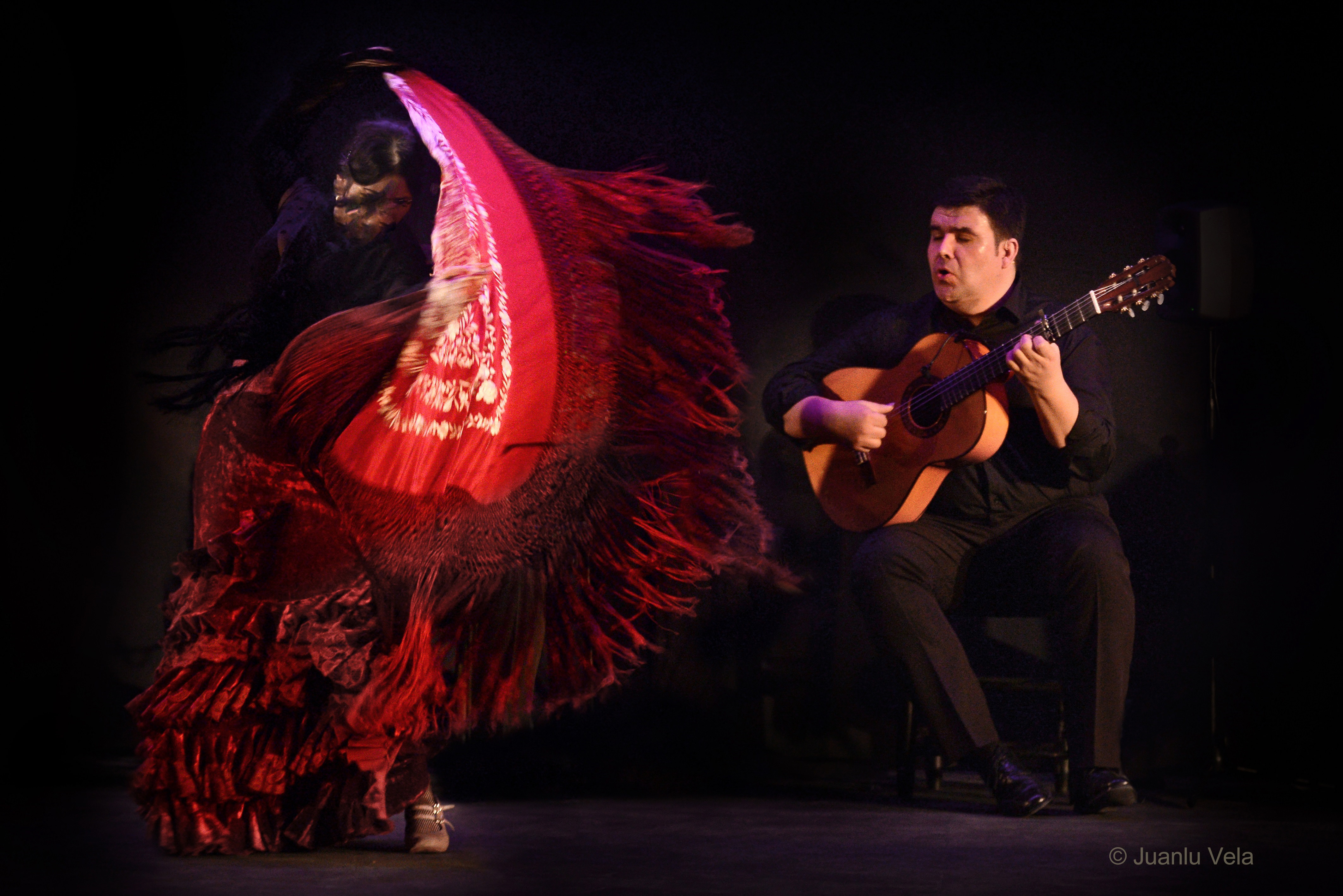 Flamenco Vivo Flamenco Vivo, Ricardo Fernández Del Moral