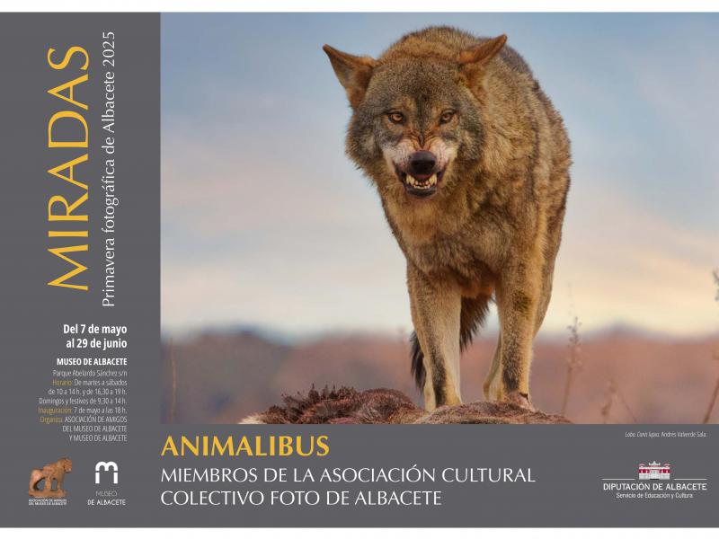 Exposición de fotografía "Animalibus" Foto de la exposición de fotografía "Animalibus"