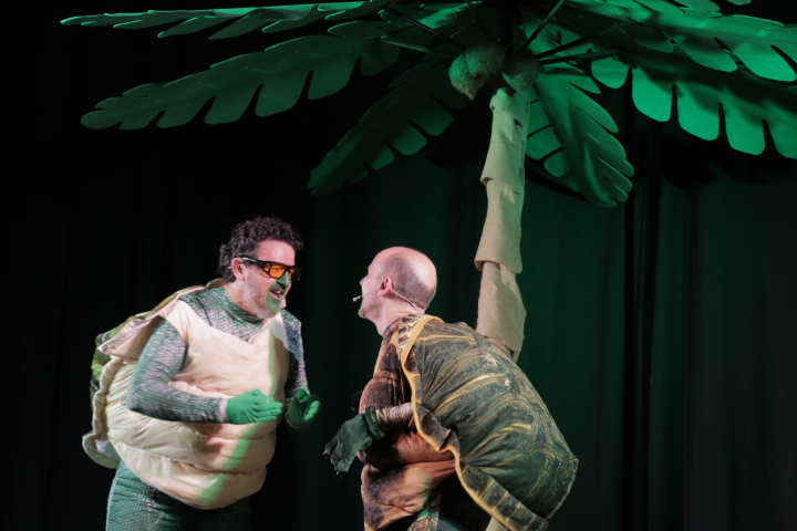 Foto de Tortugas. Nacho González Producciones K'N