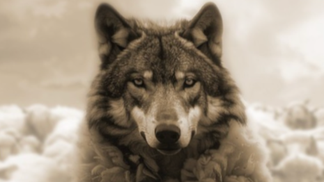 Presentación del libro " Cómo gestionar en tu vida a los depredadores emocionales", de Isabel López Montejano Presentación del libro " Cómo gestionar en tu vida a los depredadores emocionales", de Isabel López Montejano