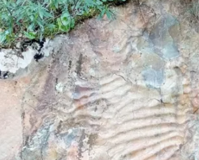 Charla “Cabañeros sumergido”, por Juan Carlos Gutiérrez-Marco