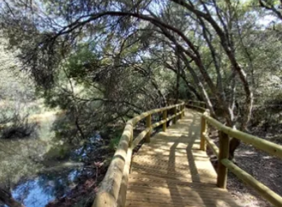 Charla “Paleobotánica del Parque Nacional de Cabañeros”