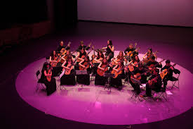 Orquesta de guitarras de Albacete