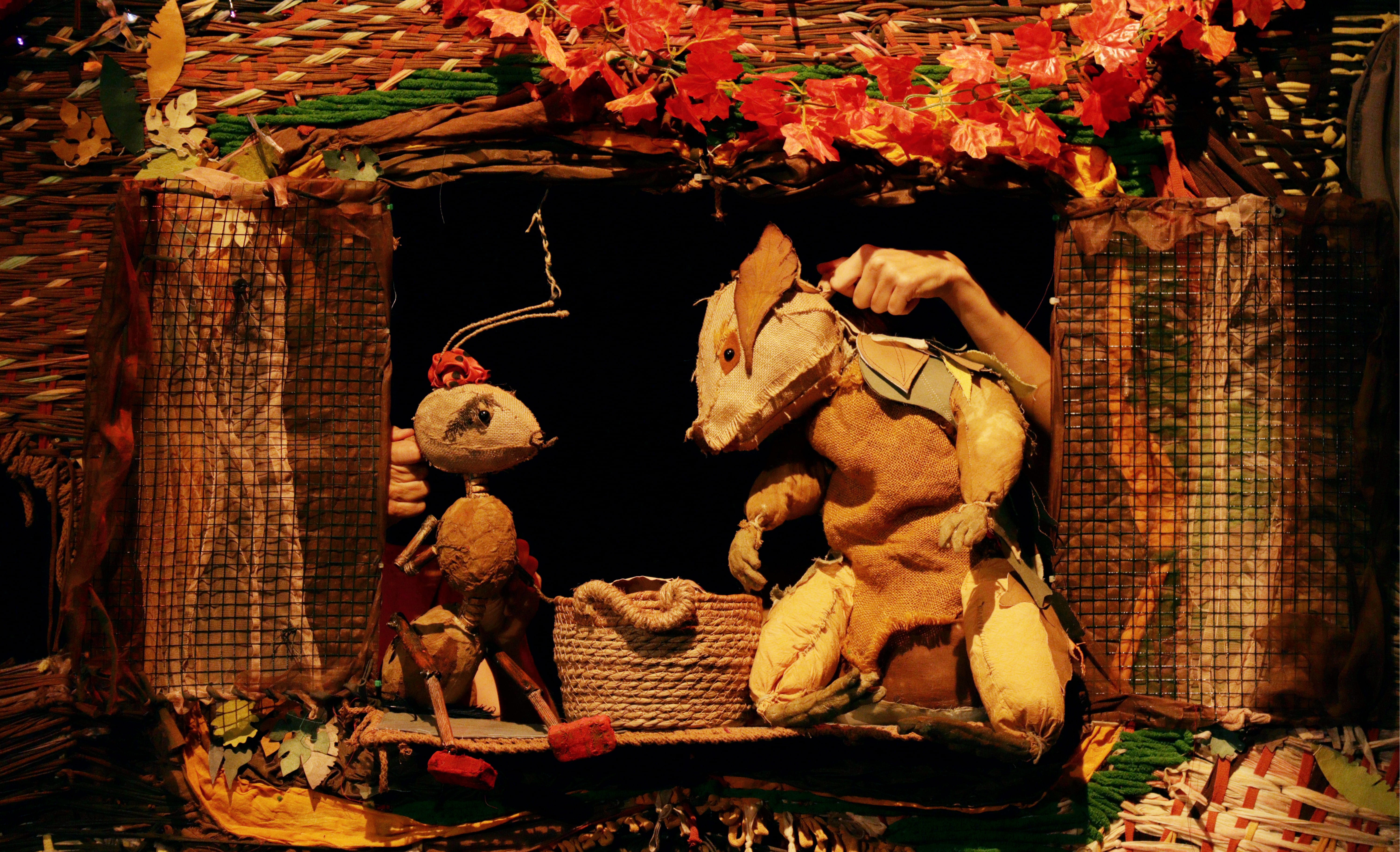 Imagen Querida Ardilla