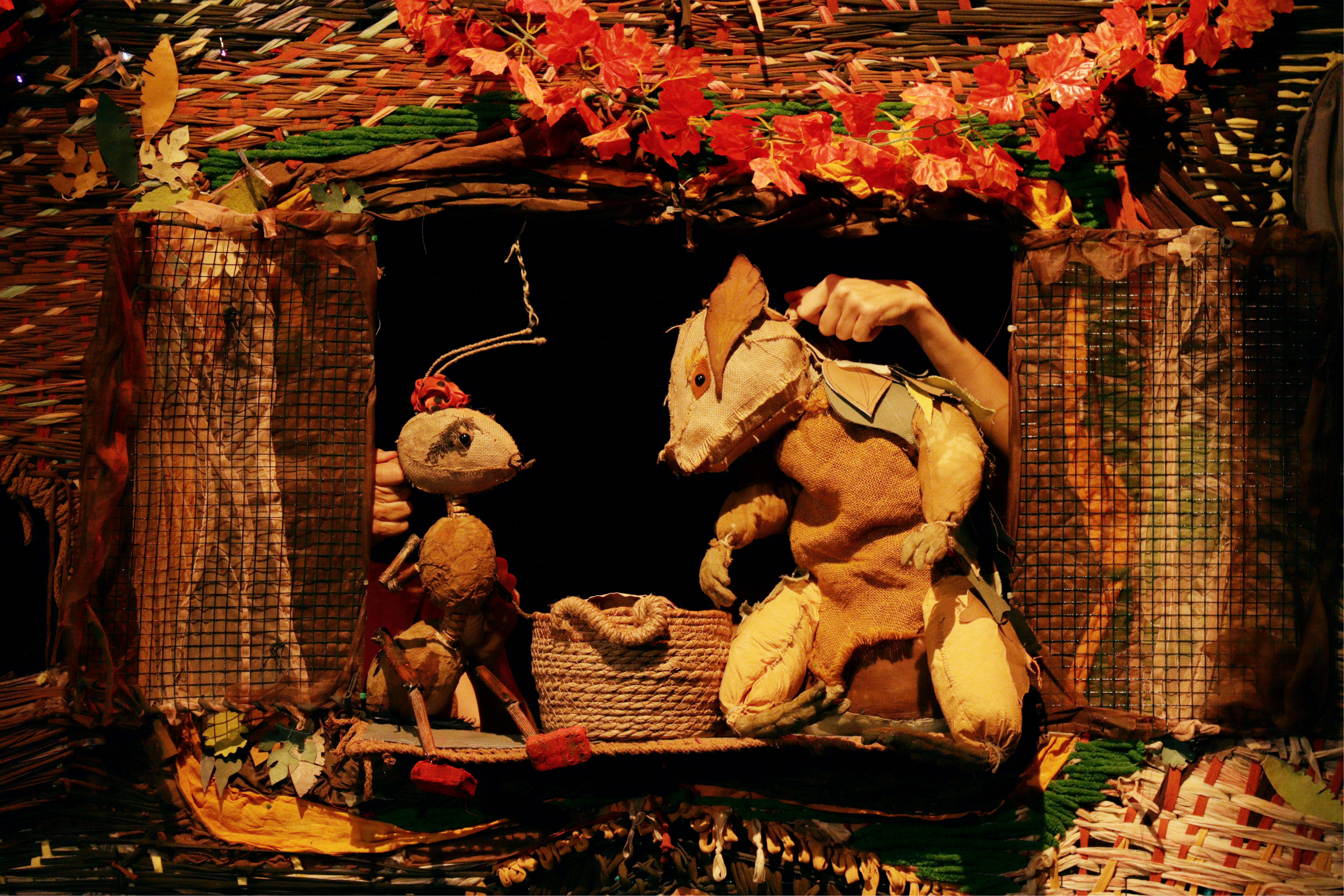 Foto de Querida Ardilla