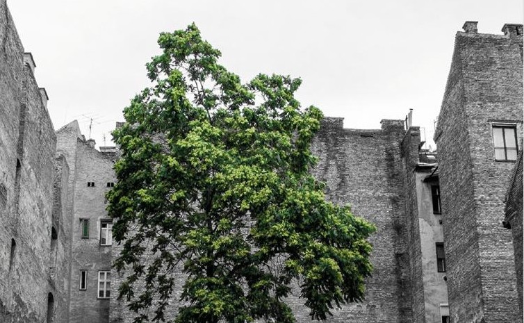 Imagen Conferencia La ciudad bioclimática