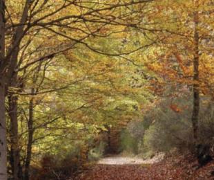 Presentación del libro "Los sabores de mi tierra" de José Manuel García Román Presentación del libro "Los sabores de mi tierra" de José Manuel García Román