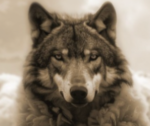 Presentación del libro &quot; Cómo gestionar en tu vida a los depredadores emocionales&quot;, de Isabel López Montejano