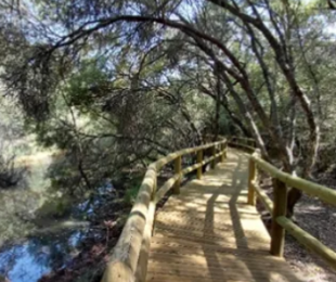 Charla “Paleobotánica del Parque Nacional de Cabañeros”