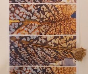 Imagen. Exposición &quot;Circumvolare&quot;