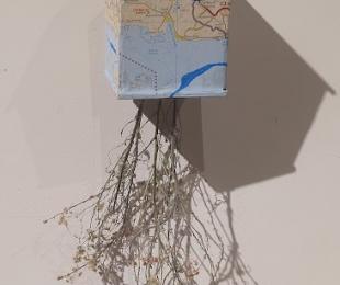 Imagen. Exposición &quot;Circumvolare&quot;