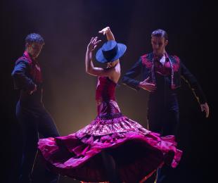 Foto de Danzas solemnes. Compañía Cristina Cazorla
