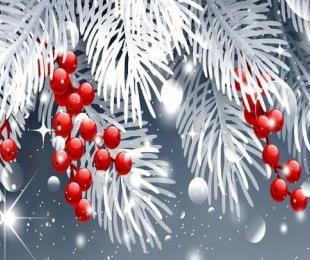 Concierto Navidad Asociación