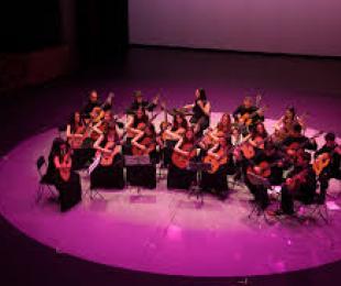 Orquesta de guitarras de Albacete