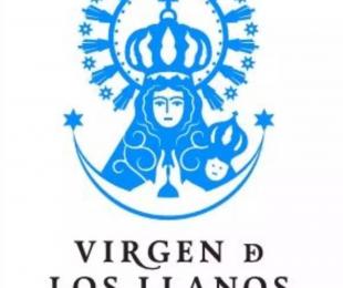 Foto de Gala a favor del Centro de Interpretación Virgen de los Llanos (CIVILLA)