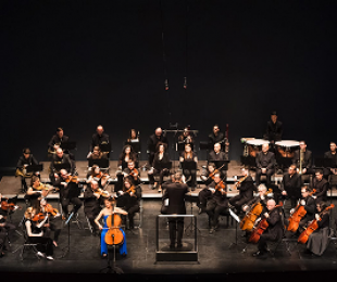 Concierto interpretado por la Orquesta-Camareta de Castilla- La Mancha.
