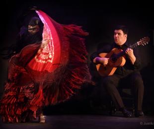 Foto de Nuestro Flamenco. Ricardo Fernández del Moral