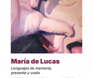 Exposición "Lenguajes de memoria, presente y vuelo"