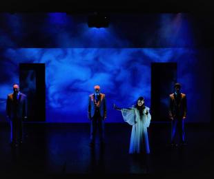 Foto de la obra Páncreas de Lulo Producciones