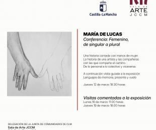 Cartel conferencia: Femenino, de singular a plural.