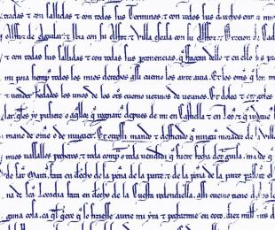 Letra de privilegios