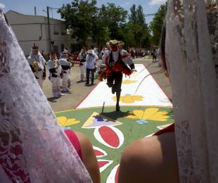 CORPUS CAMUÑAS 6