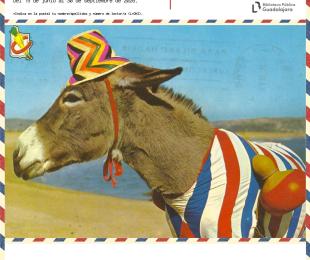 Verano de postal 2026