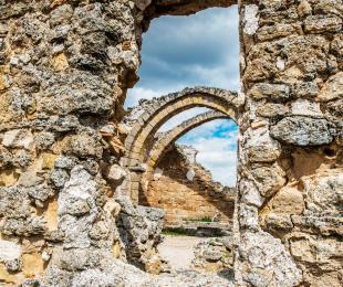 Visita al Parque Arqueológico de Recópolis. Jornadas Europeas de Arqueología 2026 en Castilla-La Mancha