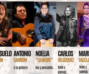 Imagen Recital Flamenco