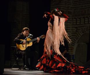 foto del cartel de "Nuestro Flamenco"