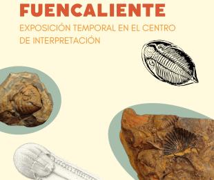LOS FOSILES DE FUENCALIENTE