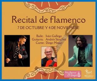 Flamenco vivo