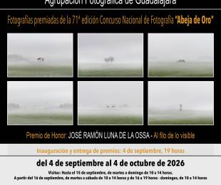 CARTEL DE LA EXPOSICIÓN "71ª EDICIÓN ABEJA DE ORO"