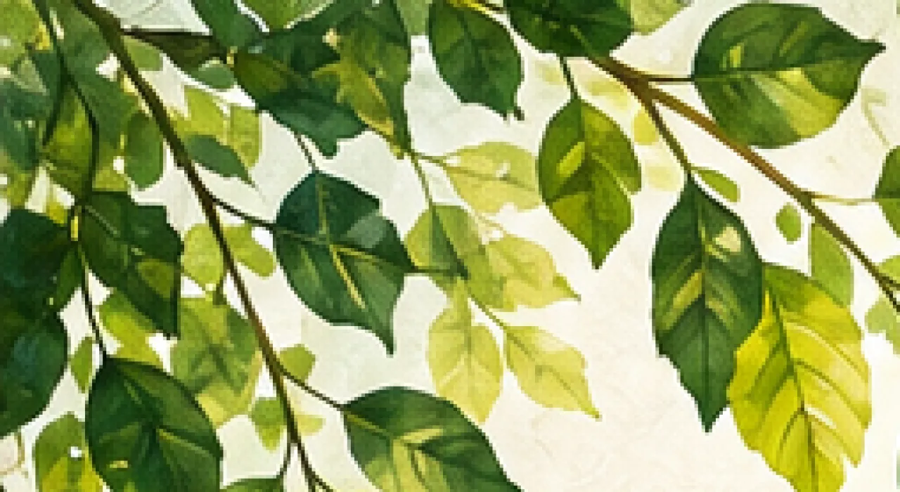 Día Internacional del Medio Ambiente