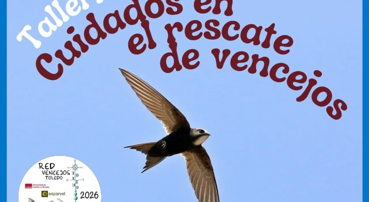 Taller vencejos