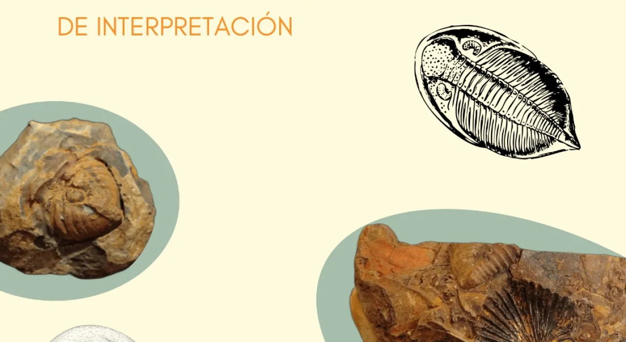 LOS FOSILES DE FUENCALIENTE